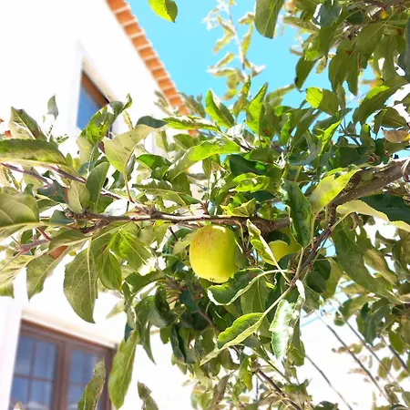 Vila Bright And Spacious With Patio And Bbq Serra d'El-Rei